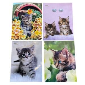 Crazy Cat School Portfolio Folder Pockets Glossy 3 Ring Lot Of 4 Kitten NEW
